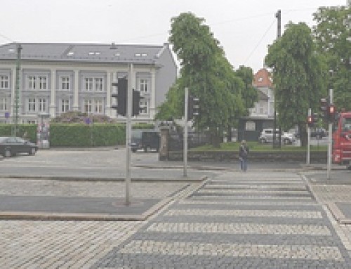 Bölgenin Dokusu